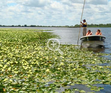 Esteros del Iberá 2