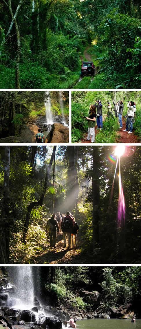 Safari, Selva & Cascada