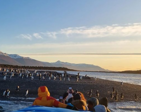 Almanza, atardecer y Pingüinos - 4