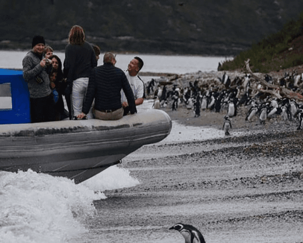 Aventura Almanza - 4