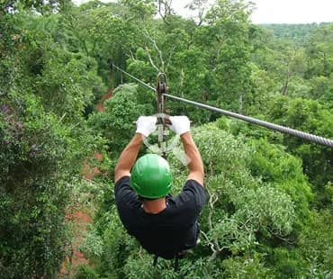 Aventura en la Selva 2