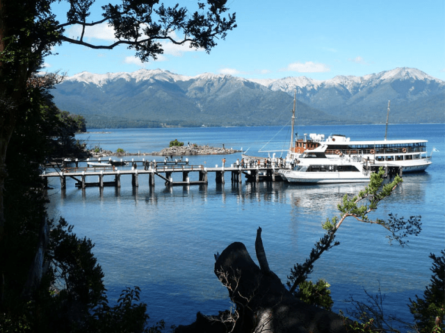 Bosque de Arrayanes - 2