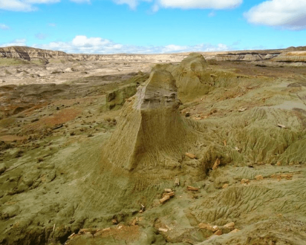 Bosque Petrificado Sarmiento - 3