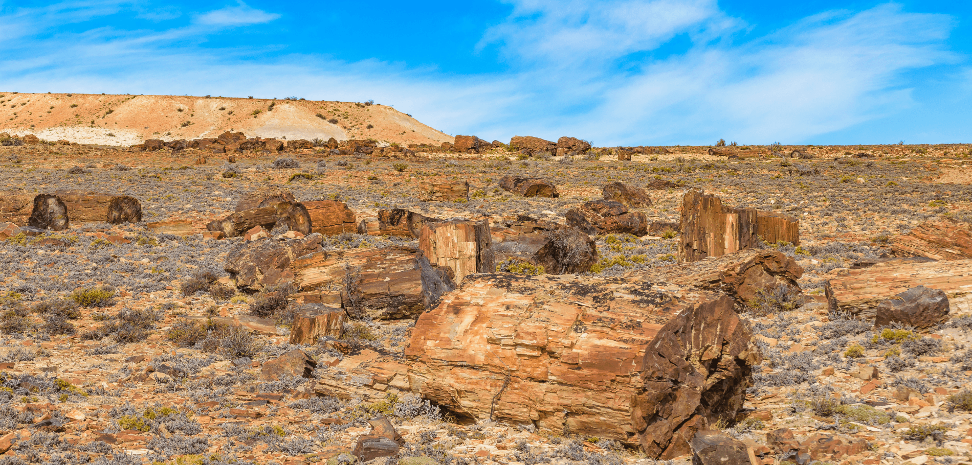 Bosque Petrificado Sarmiento