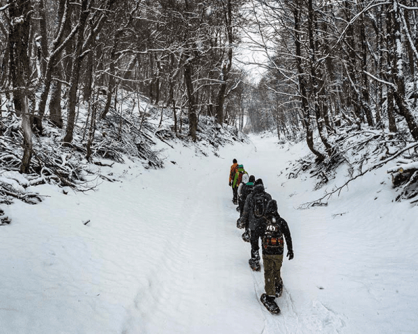 Caminata con Raquetas en el Valle - 2
