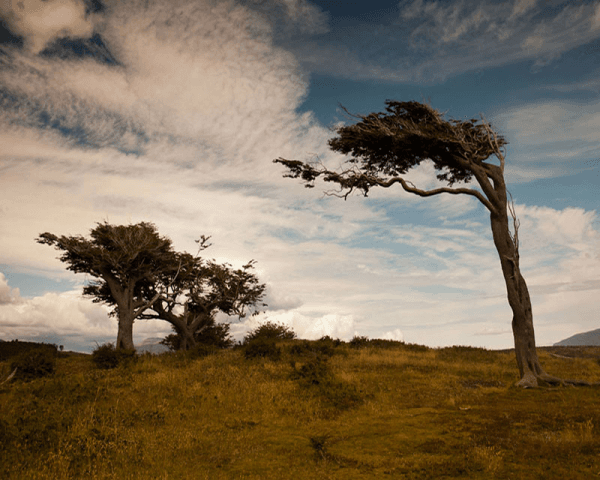 Combinada Estancia Harberton - SUSPENDIDA - 4