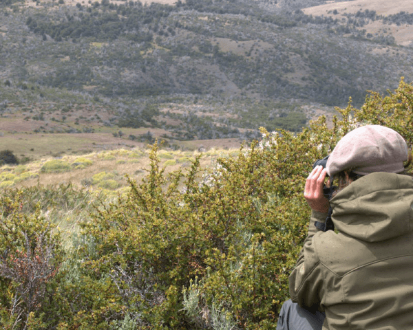 En busca de caballos baguales - 3