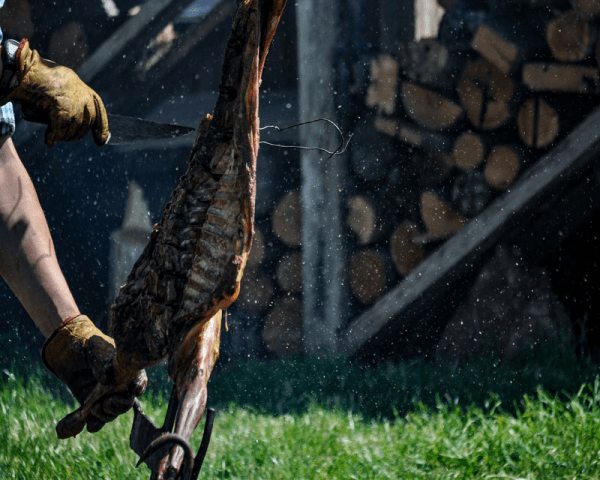 Estancia La Península - 2