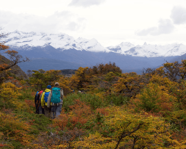 Estancia La Península - 3