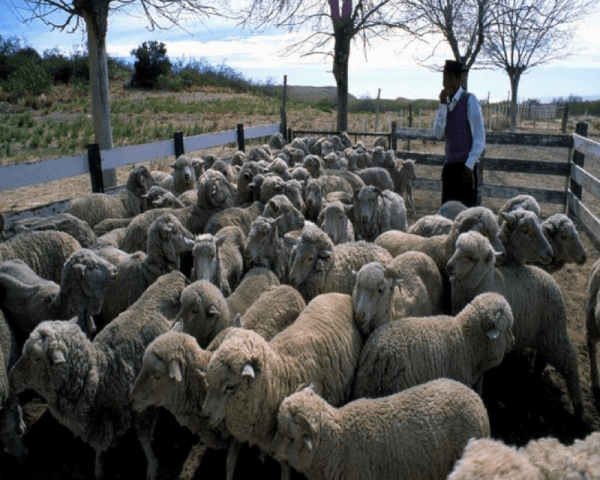 Estancia San Guillermo - 2