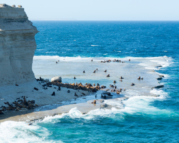 Excursión Península - 3