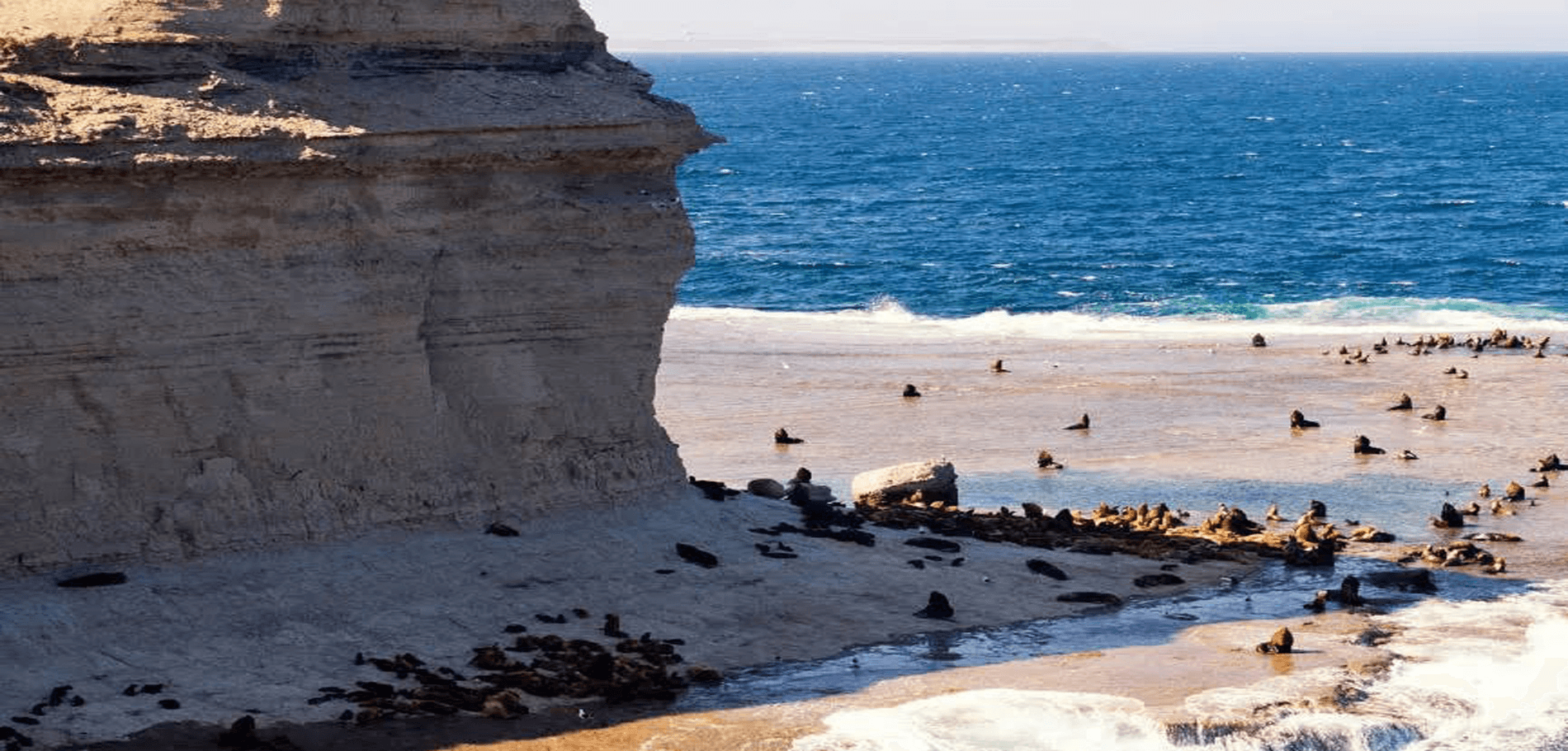 Excursiones a Punta Tombo y cercanías