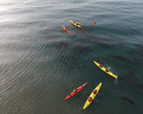 Kayak en el Estrecho de Magallanes - 3