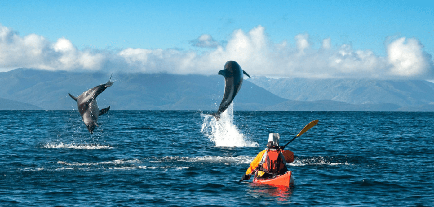Kayak en el Estrecho de Magallanes