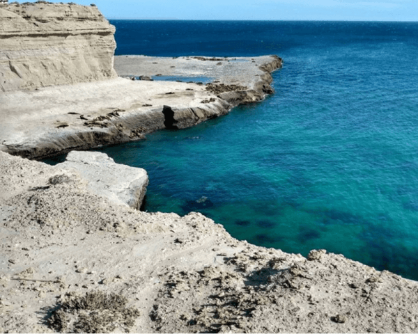 Lobería Punta Loma - 2