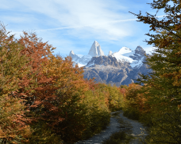 Patagonia Eco Domes Chaltén - 4