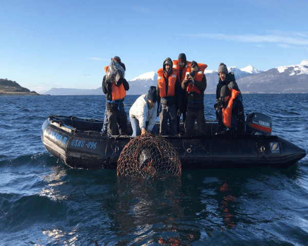 Pesca de Centollas - 4