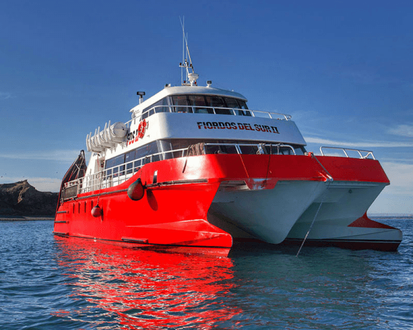 Pingüinera Isla Magdalena - 4