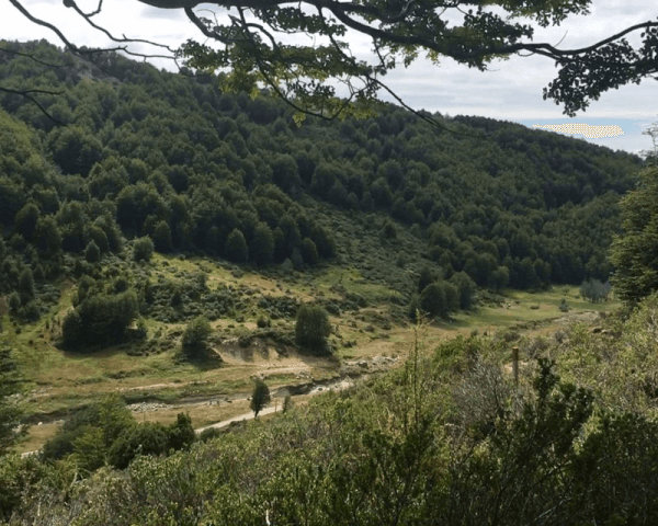 Trekking en Reserva Magallanes - 2