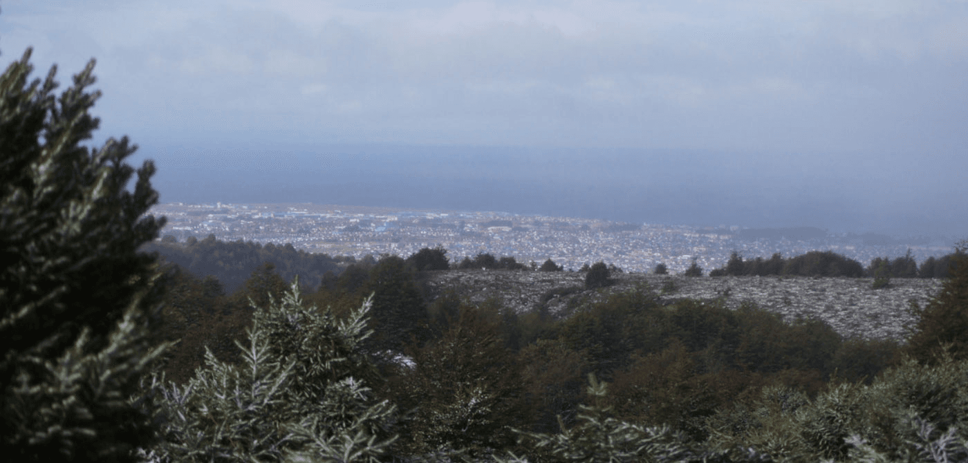 Trekking en Reserva Magallanes