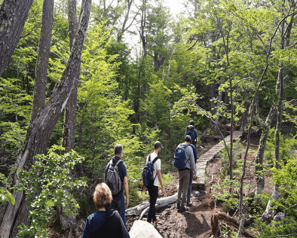 Trekking Laguna Esmeralda - 3