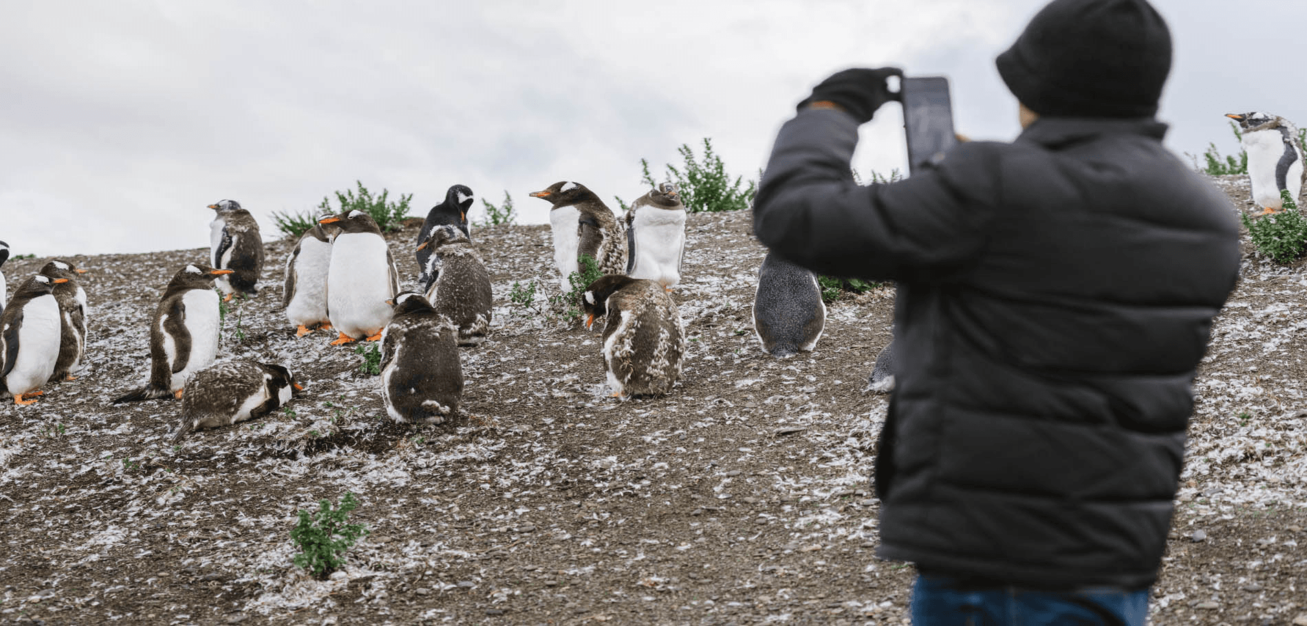 Trekking Pingüinera combinada
