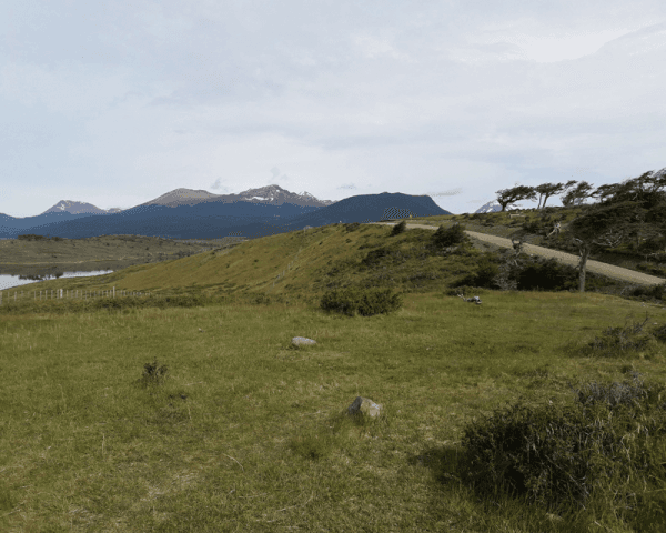 Trekking Pingüinera por tierra - 4