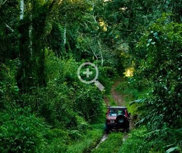 Safari, Selva & Cascada 2